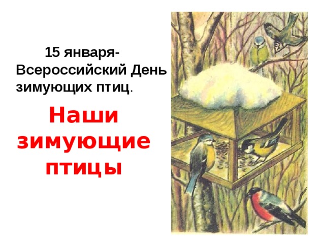 День зимующих птиц День зимующих птиц.